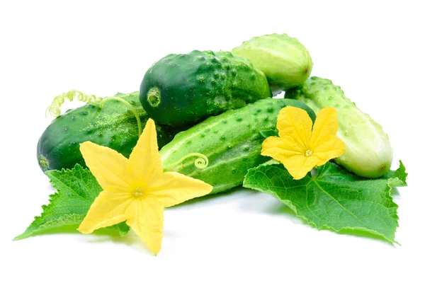 Fresh and appetizing cucumbers — Stock Photo, Image