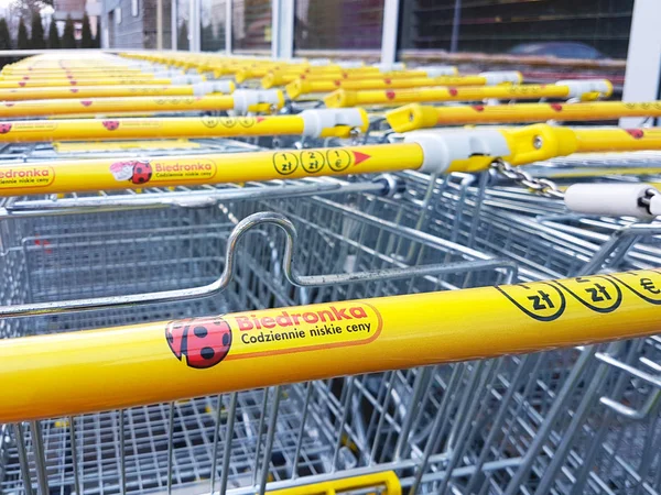 Biedronka süpermarkette alışveriş