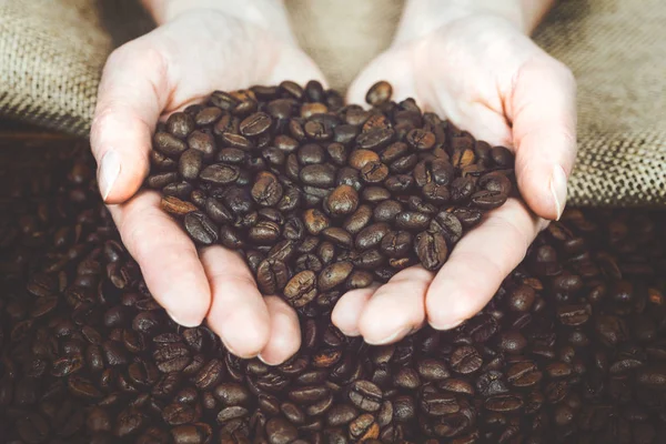 Kaffebönor i händerna — Stockfoto