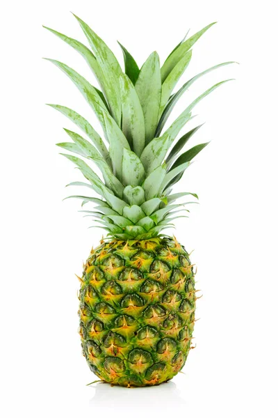 Owoc duży ananas cały — Zdjęcie stockowe