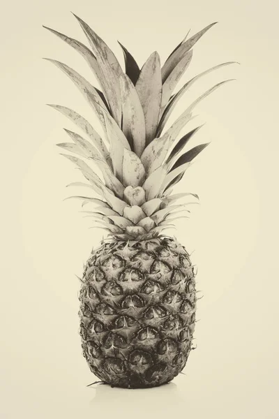 Nagy egész ananász gyümölcs — Stock Fotó