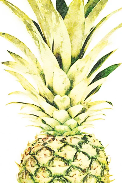 Owoc duży ananas cały — Zdjęcie stockowe