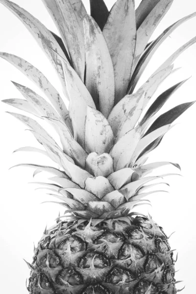 Grote hele ananas fruit — Stockfoto