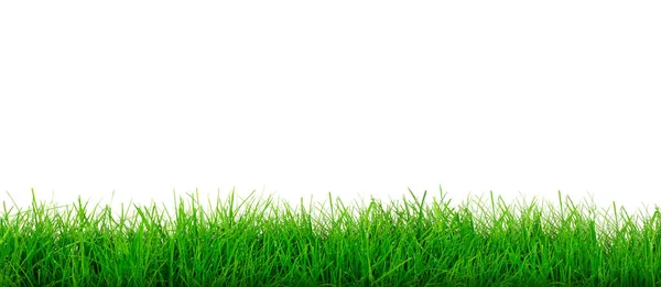 Зелена трава шаблон — стокове фото
