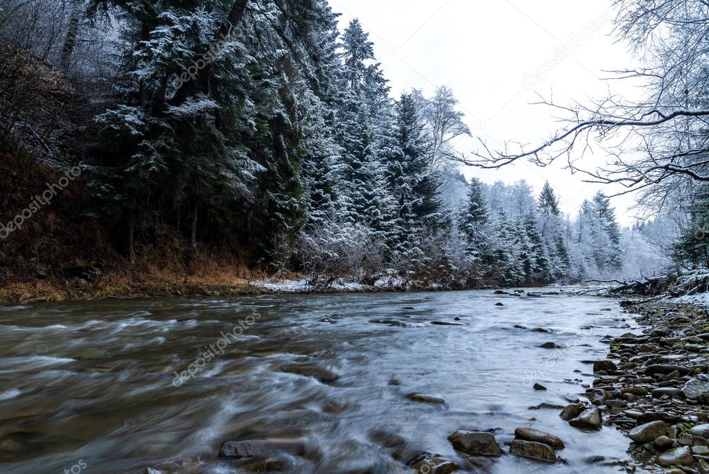 Beautiful river in The Carpathian Mountains