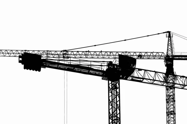 Grues de construction sur fond blanc — Photo