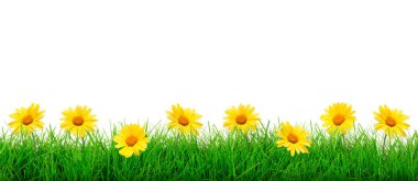 Yaz çayır şablonu