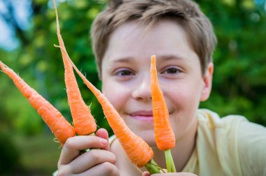 Çocuk holding havuç