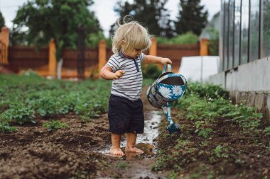 Çocuk sulama olabilir gelen çilek yataklar sprinkles