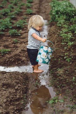 Çocuk sulama olabilir gelen çilek yataklar sprinkles