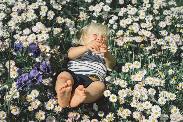 Niño riendo mientras yacía en el campo de manzanilla —  Fotos de Stock