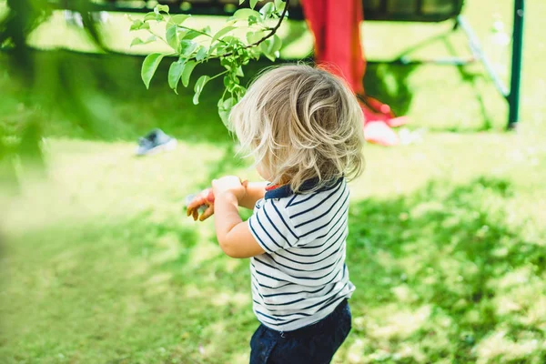Bahçede sarışın çocuğun — Stok fotoğraf