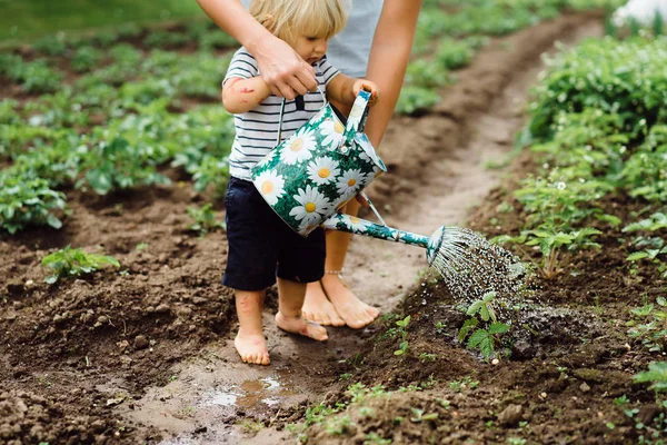 Boy sprinkles strawberry beds from watering can — Stock Photo, Image