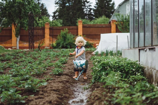 Garçon saupoudrer les lits de fraises de l'arrosoir — Photo