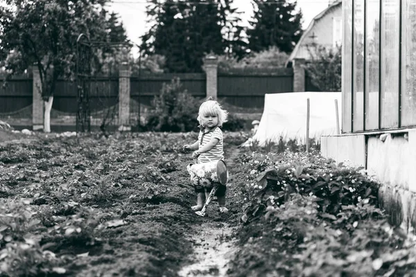 Boy sprinkles strawberry beds from watering can — Stock Photo, Image