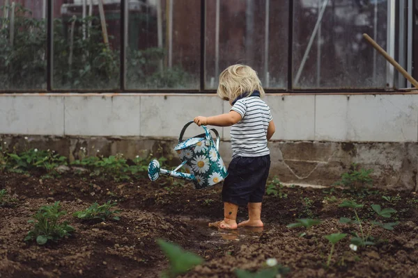 Boy sprinkles strawberry beds from watering can — Stock Photo, Image