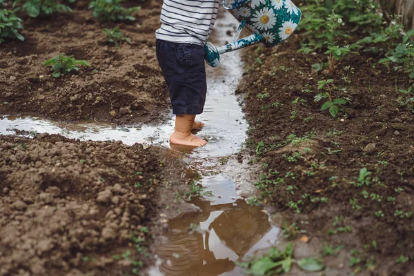 Niño asperja camas de fresa de regadera — Foto de Stock