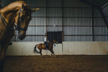 Kadın binicilik at Arena