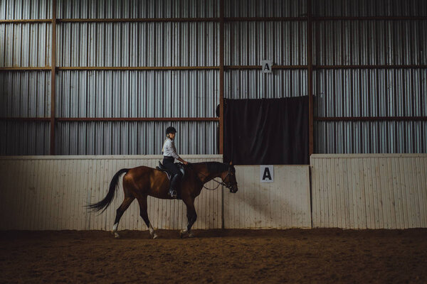 girl training horse in arena