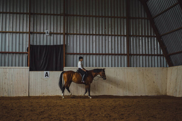 girl training horse in arena