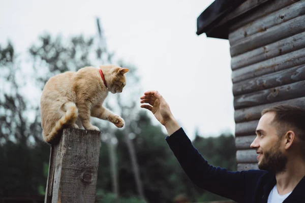 Man klappa katten — Stockfoto