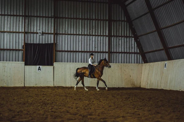 Kadın binicilik at Arena