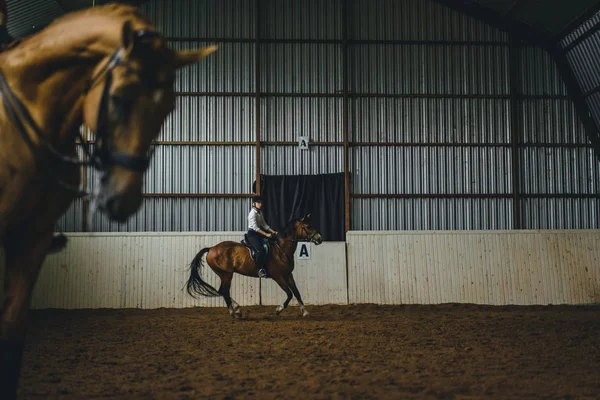 Frau reitet Pferd in Arena — Stockfoto