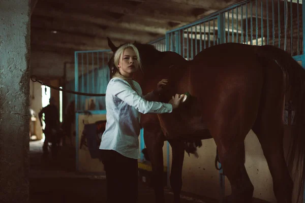 Flickan hand tar om hästen — Stockfoto