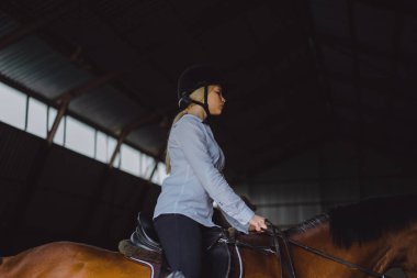 kıyafeti arenada at üzerinde oturan kız