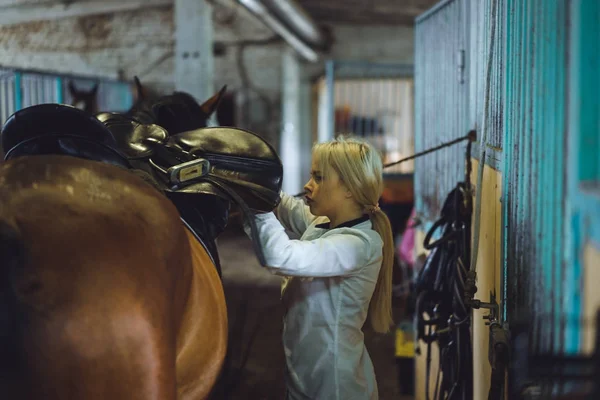 Flickan tar hand om hästen — Stockfoto