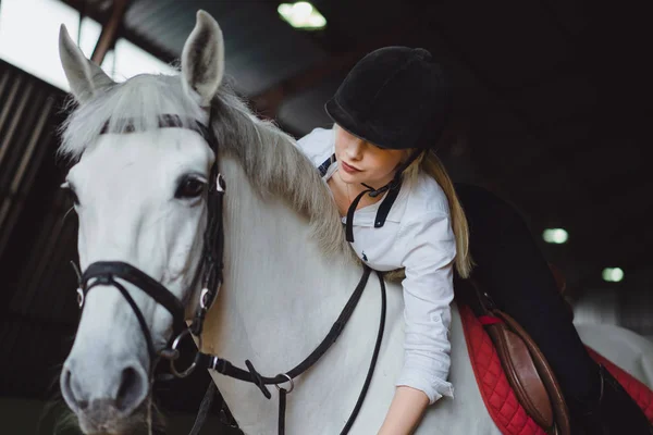 Chica cuidando de caballo — Foto de Stock