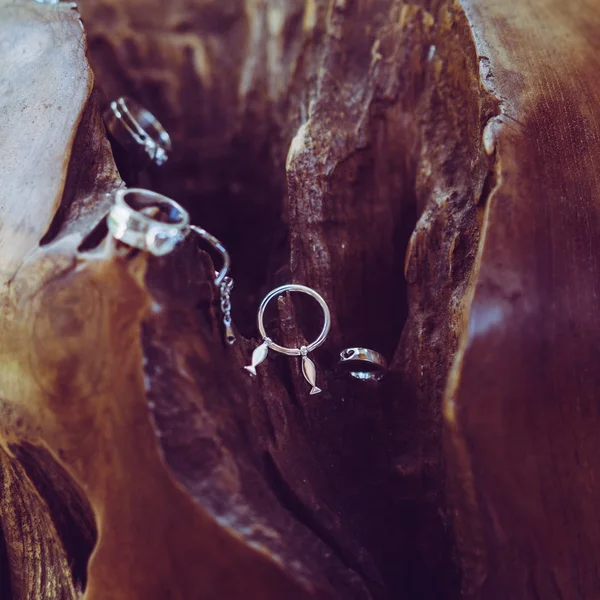 Primer Plano Hermosos Anillos Plata — Foto de Stock