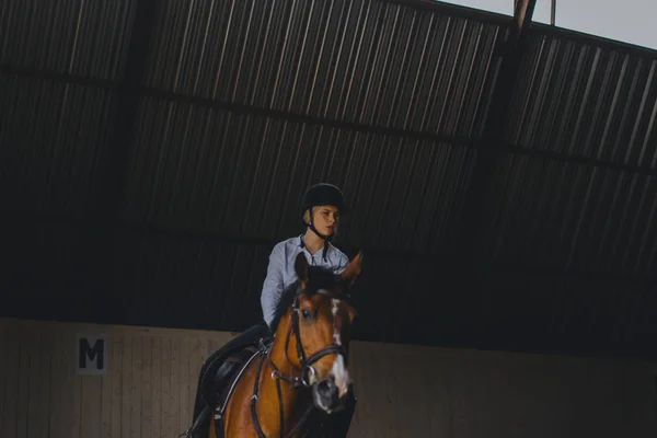 Chica sentada a caballo — Foto de Stock