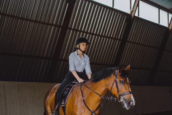 Chica sentada a caballo — Foto de Stock