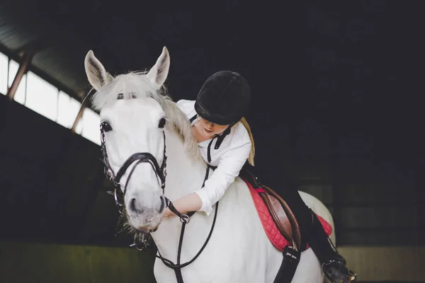 Mädchen kümmert sich um Pferd — Stockfoto