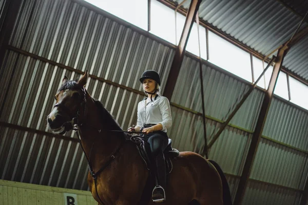 Chica sentada a caballo — Foto de Stock