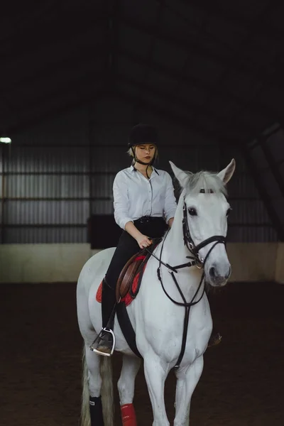 Chica sentada a caballo — Foto de Stock