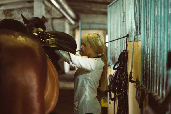 Chica cuidando de caballo — Foto de Stock