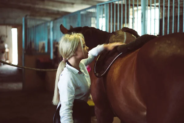 Chica cuidando de caballo — Foto de Stock