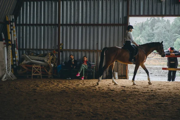 Seyirci arenada at eğitim izlerken
