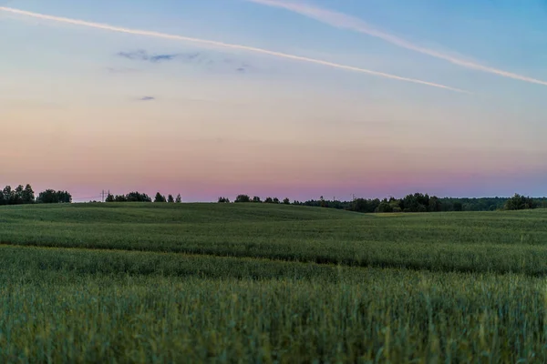 Paisaje Campo Atardecer — Foto de Stock