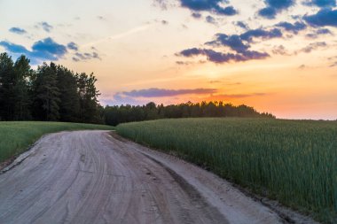 Manzaralı manzara, günbatımında tarla