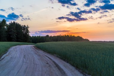Manzaralı manzara, günbatımında tarla