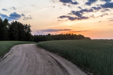 Manzaralı manzara, günbatımında tarla