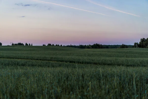 Landschap Veld Bij Zonsondergang — Stockfoto