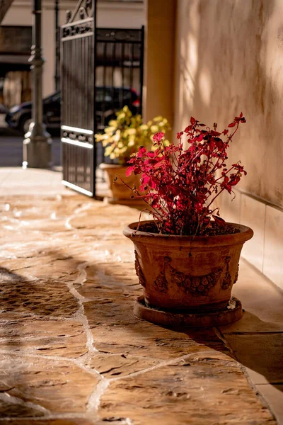 United States of America Santa Barbara. Streets of Santa Barbara — Stock Photo, Image