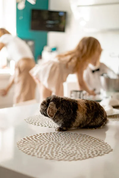 Lycklig Familj Förbereder Sig För Påsk Semester Mamma Med Barn — Stockfoto