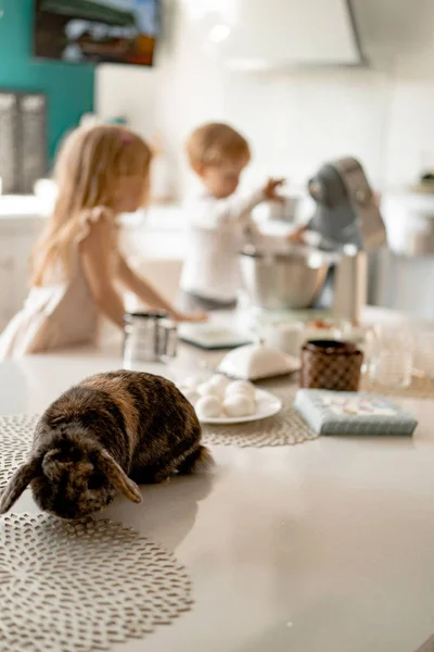Felice Famiglia Che Prepara Vacanze Pasqua Mamma Con Bambini Cucina — Foto Stock