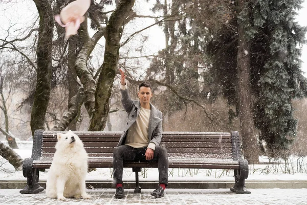 男朋友拿着一束粉红色的花等着他的女朋友和他的狗散步和玩耍 外面下雪的时候 情人节的概念 结婚的建议 — 图库照片