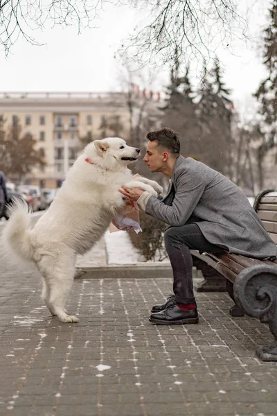 Boy friend with a bouquet of pink flowers hydrangea waiting for his girl friend and walking and playing with a dog. outdoors while snow is falling. Valetnine`s day concept, wedding proposal